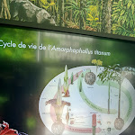 Photo n° 1 de l'avis de Sd.a fait le 13/07/2023 à 15:24 pour Jardin Botanique Jean-Marie Pelt à Villers-lès-Nancy