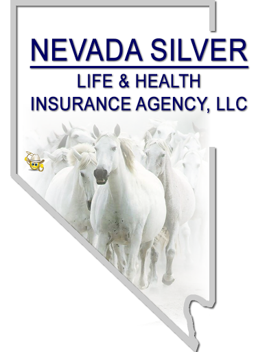 Nevada Silver Life & Health Agency LLC