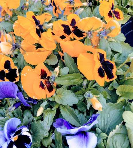 Home Improvement Store «The Home Depot», reviews and photos, 43 Hutton Ave, Nanuet, NY 10954, USA