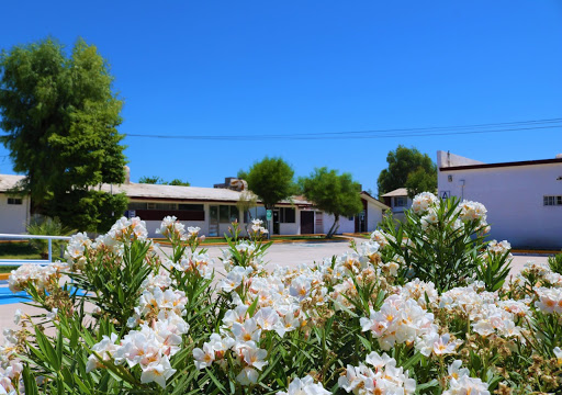 Instituto de Psiquiatria del Estado de Baja California