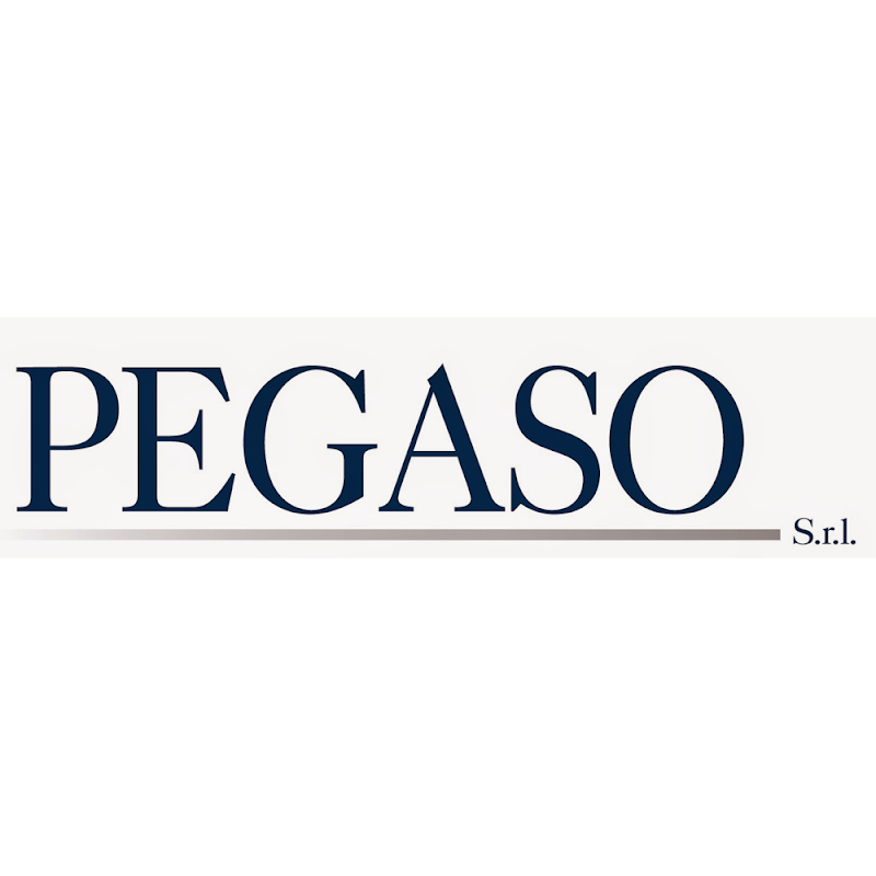 Pegaso - Southern Wind