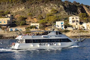 Blue Lines Ltd. - Egadi Islands Excursions image