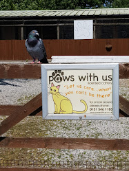 Paws With Us Cattery