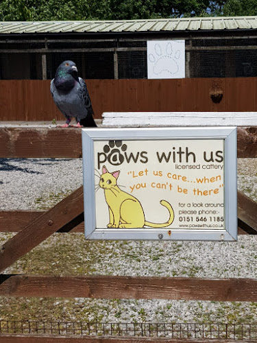 Paws With Us Cattery