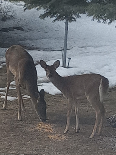 Historical Place «Klondike Gold Rush - Seattle Unit», reviews and photos, 319 2nd Ave S, Seattle, WA 98104, USA