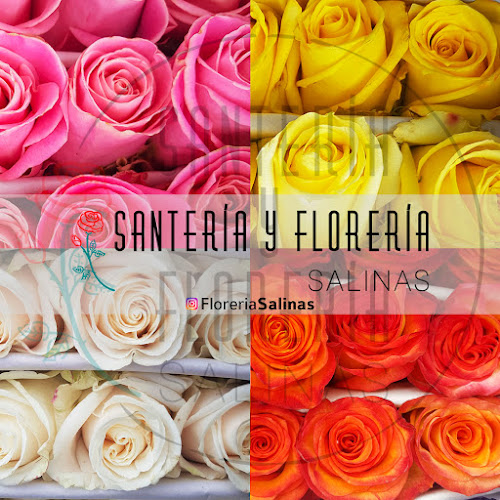 Opiniones de Santería y Florería Salinas en Canelones - Floristería