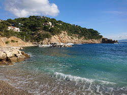 Plage de la cote bleue'in fotoğrafı düz bir kıyı şeridi ile birlikte