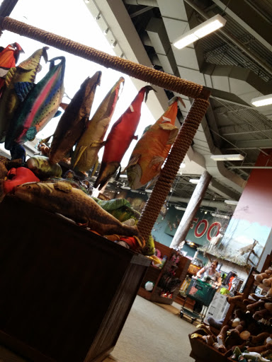 Sporting Goods Store «Bass Pro Shops», reviews and photos, 951 E Lewis and Clark Pkwy, Clarksville, IN 47129, USA