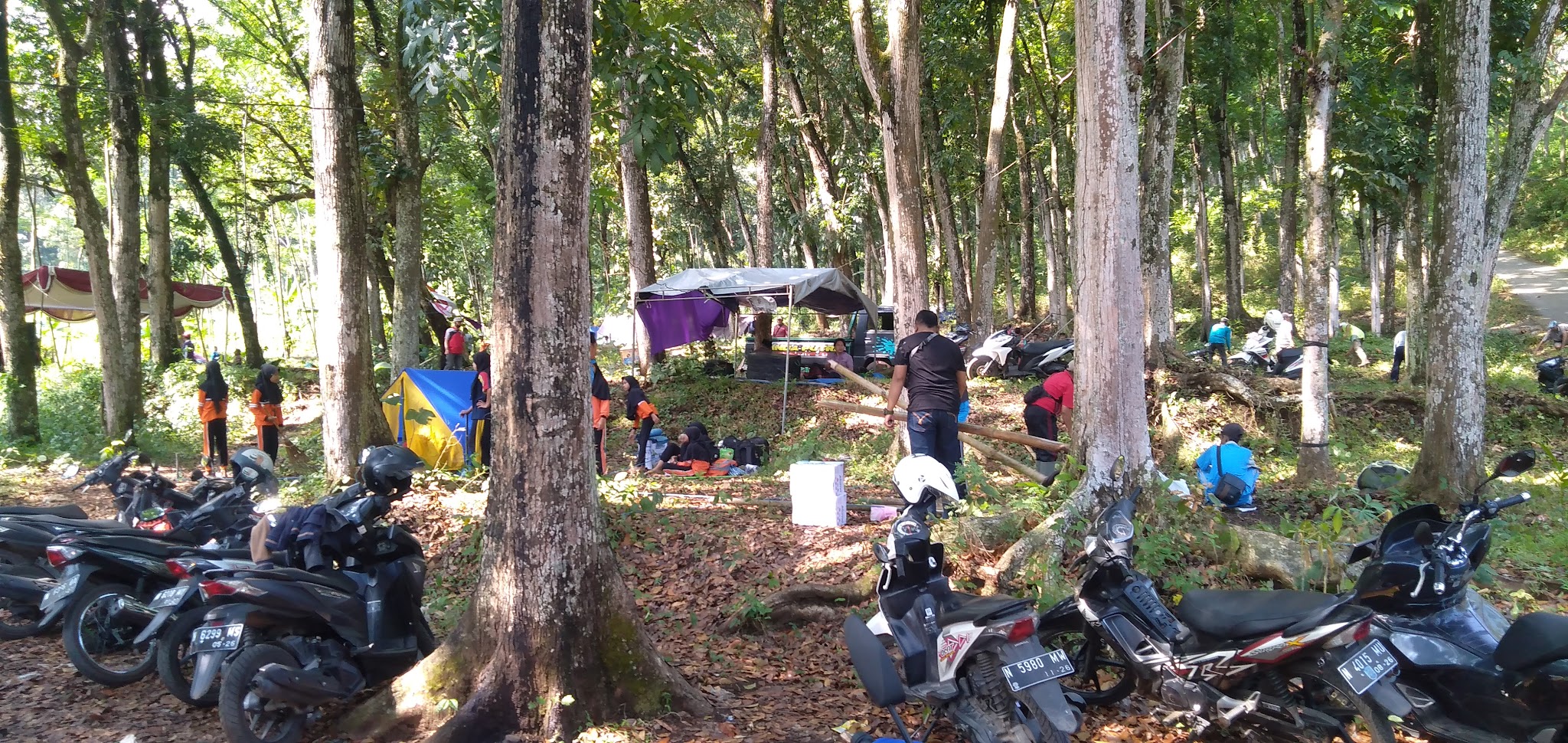 Foto SD  Negeri Dandang, Kab. Probolinggo