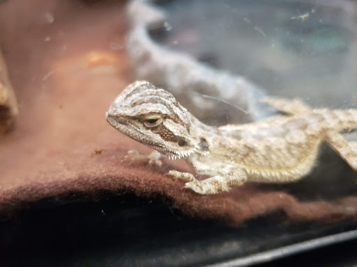 Pet Supply Store «PetSmart», reviews and photos, 640 W 300 N, Warsaw, IN 46582, USA