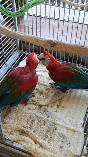 Pet Store «Tanks Pet Supply», reviews and photos, 628 S Main St, Princeton, IL 61356, USA