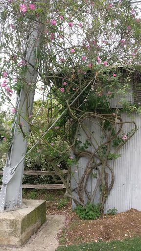 Winery «Winery on the Gruene», reviews and photos, 1308 Gruene Rd, New Braunfels, TX 78130, USA