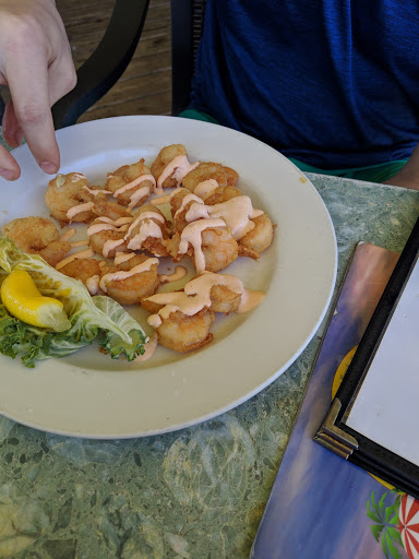 Bar «Buckingham Bar», reviews and photos, 5641 Buckingham Rd, Fort Myers, FL 33905, USA