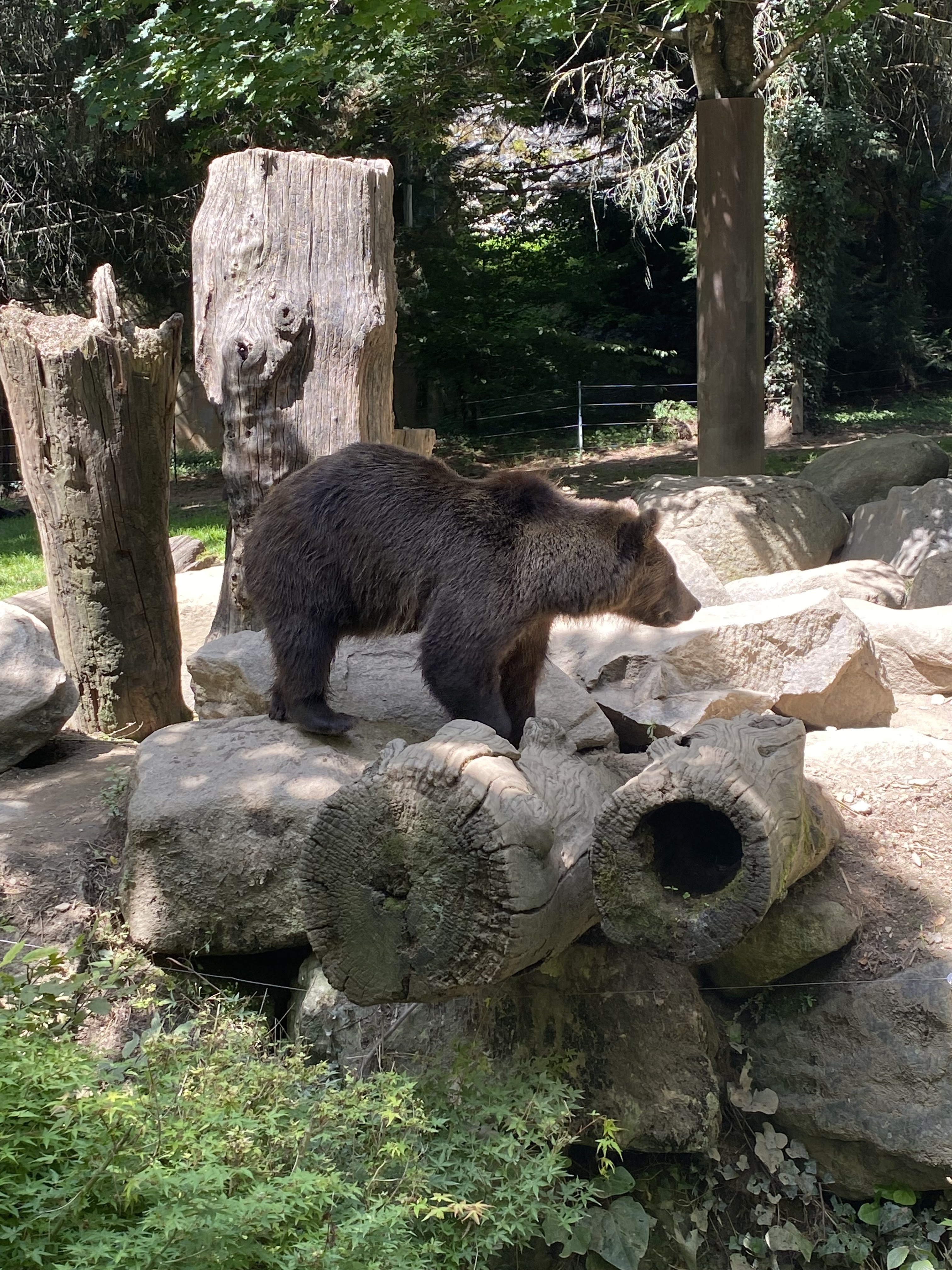 Photo n° 7 de l'avis de Nicolas.h fait le 09/08/2023 à 21:02