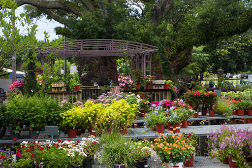 Sod Supplier «Woerner Landscape Source & Pet Supply - Pensacola», reviews and photos, 1332 Creighton Rd, Pensacola, FL 32504, USA