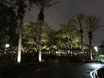 Surf and Turf Landscapes - Photo 3 - Car repair in San Diego, CA, San Diego