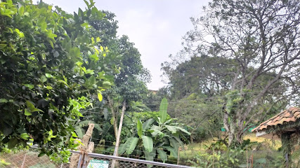 Finca el ultimo esfuerzo