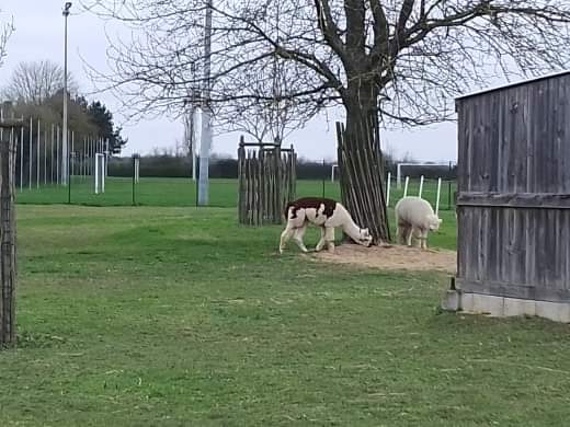 Photo n° 4 de l'avis de ophelie.t fait le 25/02/2020 à 13:50