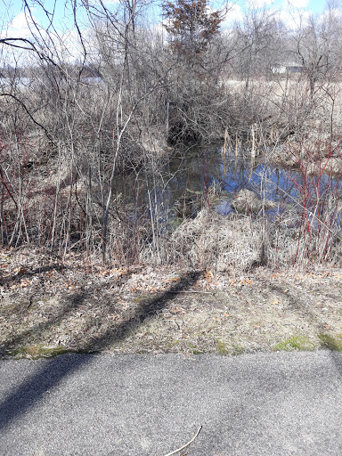 Golf Course «Cleary Lake Golf Course», reviews and photos, 18106 Texas Ave, Prior Lake, MN 55372, USA