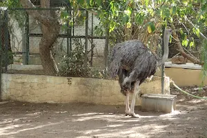 Kantaoui Zoo image