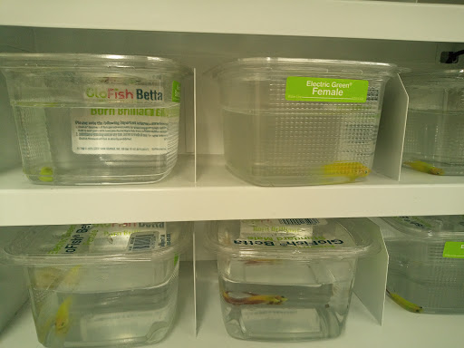 Pet Supply Store «Petco Animal Supplies», reviews and photos, 5481 Lone Tree Way, Brentwood, CA 94513, USA