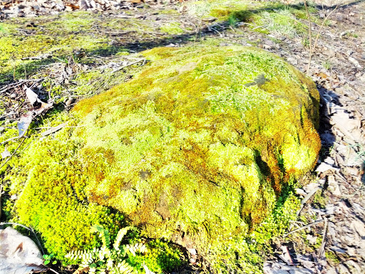 State Park «Long Hunter State Park», reviews and photos, 2910 Hobson Pike, Hermitage, TN 37076, USA