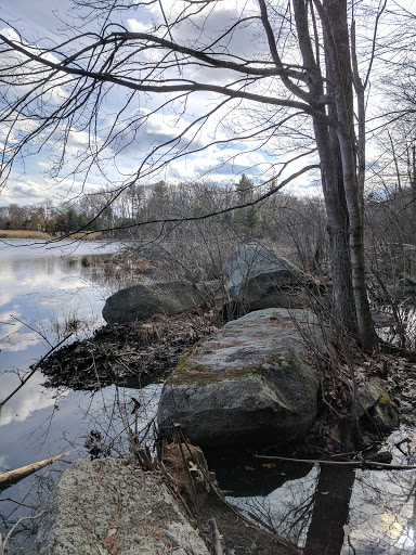 State Park «Lowell-Dracut-Tyngsborough State Forest», reviews and photos, Trotting Park Rd, Dracut, MA 01826, USA