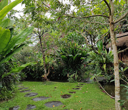Dragonfly Village photo
