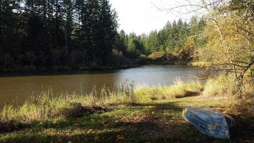 Vineyard «AlexEli Vineyard & Winery», reviews and photos, 35803 OR-213, Molalla, OR 97038, USA