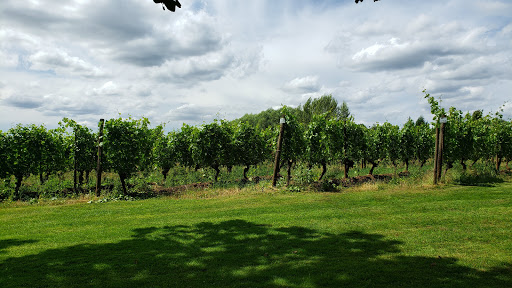 Vineyard «Cooper Mountain Vineyards», reviews and photos, 20121 SW Leonardo Ln, Beaverton, OR 97007, USA