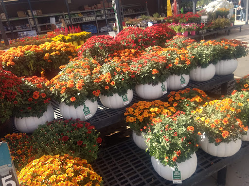 Department Store «Walmart Supercenter», reviews and photos, 470 Airport Rd, Willows, CA 95988, USA