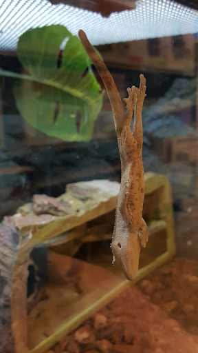 Pet Supply Store «Petco Animal Supplies», reviews and photos, 859 Kings Creek Dr, Tupelo, MS 38804, USA