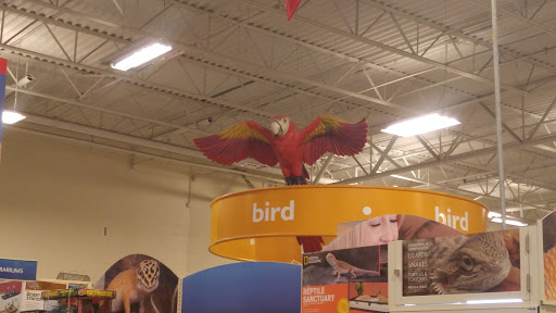 Pet Supply Store «PetSmart», reviews and photos, 2140 17th St, Santa Ana, CA 92705, USA