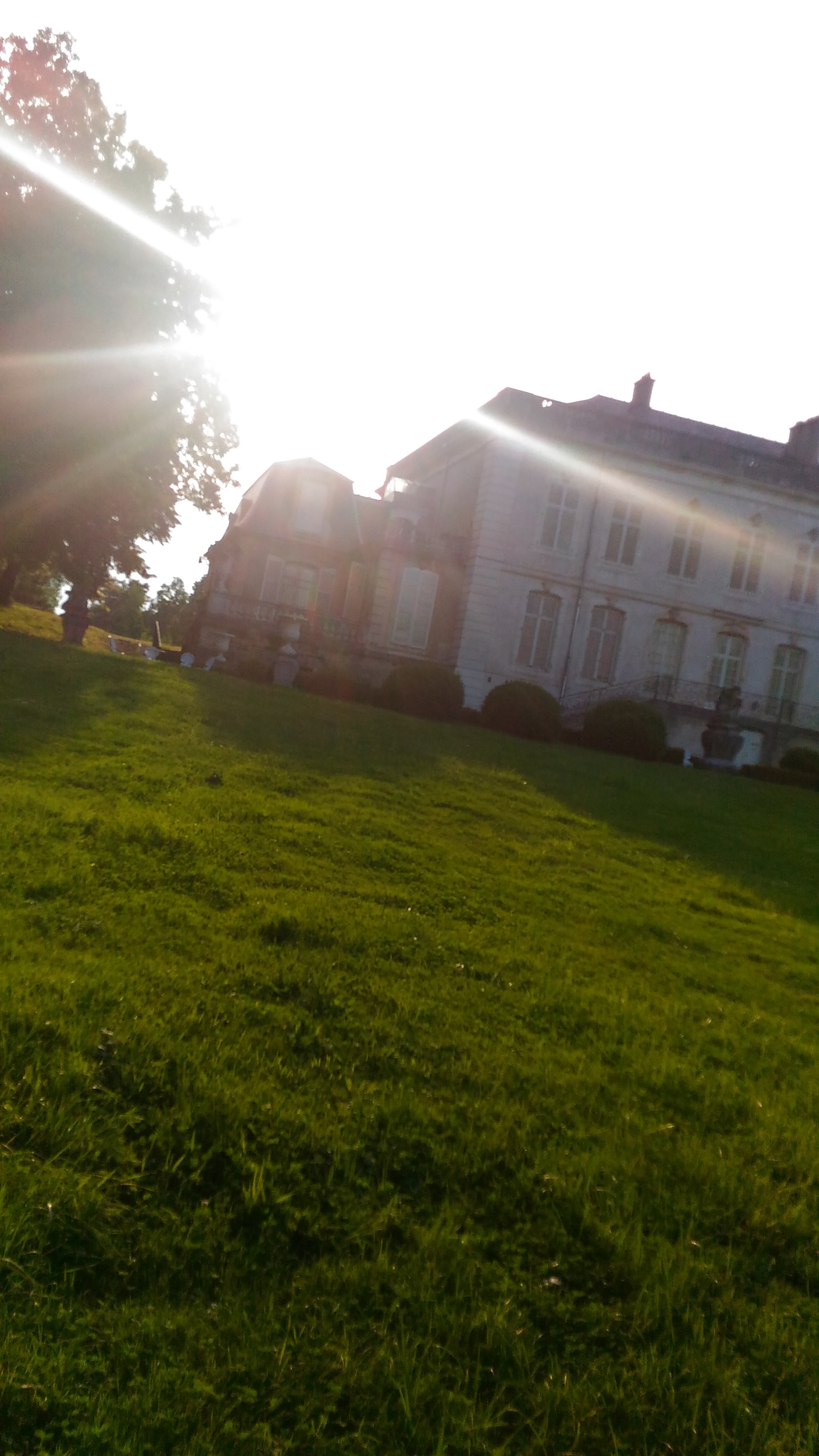 Photo n° 17 de l'avis de Chrystelle.e fait le 21/04/2019 à 16:16