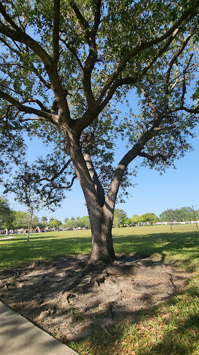 Park «Concord Park», reviews and photos, 3301 SW 114th Ave, Miami, FL 33165, USA