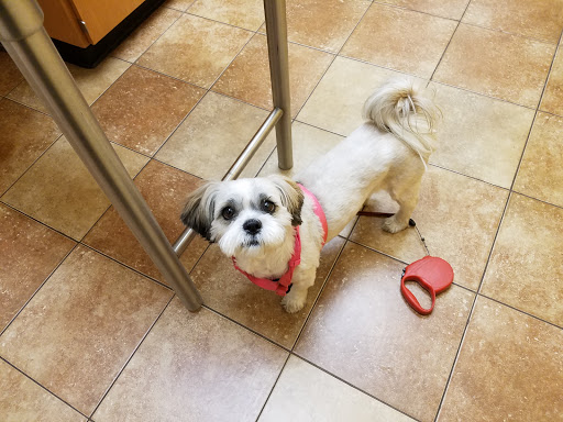 Pet Supply Store «PetSmart», reviews and photos, 278 New Britain Ave, Plainville, CT 06062, USA