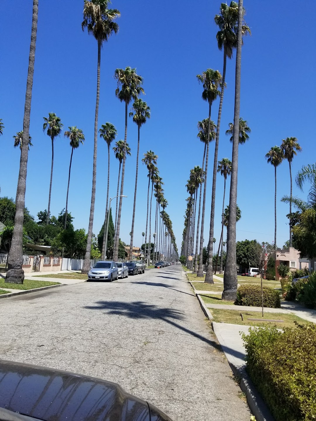 Van Ness Recreation Center