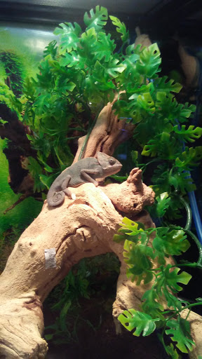 Pet Store «Pet Cove», reviews and photos, 820 E Center St, Kingsport, TN 37660, USA