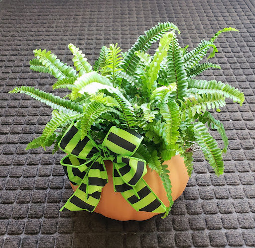 Florist «Westerville Florist», reviews and photos, 14 S State St, Westerville, OH 43081, USA