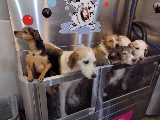 Pet Groomer «Belly scRubs Self Service Pet Wash», reviews and photos, 119 WV-34 #1, Hurricane, WV 25526, USA