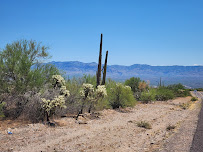 Terminix - Photo 6 - Car repair in Tucson, AZ, Tucson