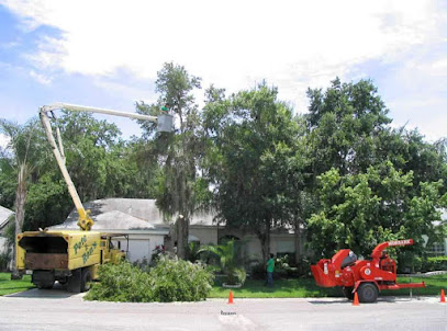 Pete and Ron's Tree Service Inc.