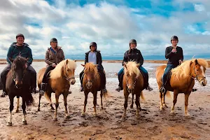 Bakkahestar Horse Riding Tours image