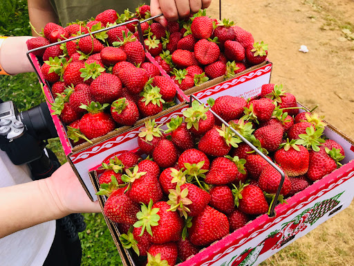 Farm «Alstede Farms», reviews and photos, 1 Alstede Farms Ln, Chester, NJ 07930, USA