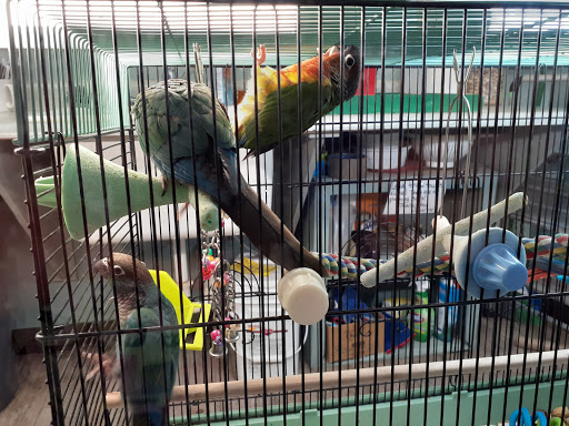 Pet Store «Pet Paradise Grooming», reviews and photos, 1115 Pueblo Blvd Way, Pueblo, CO 81005, USA