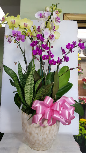 Florist «Garden Grove Florist», reviews and photos, 9710 Garden Grove Blvd # C, Garden Grove, CA 92844, USA