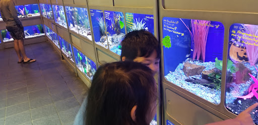 Tropical Fish Store «Dallas North Aquarium», reviews and photos, 2910 E Trinity Mills Rd, Carrollton, TX 75006, USA