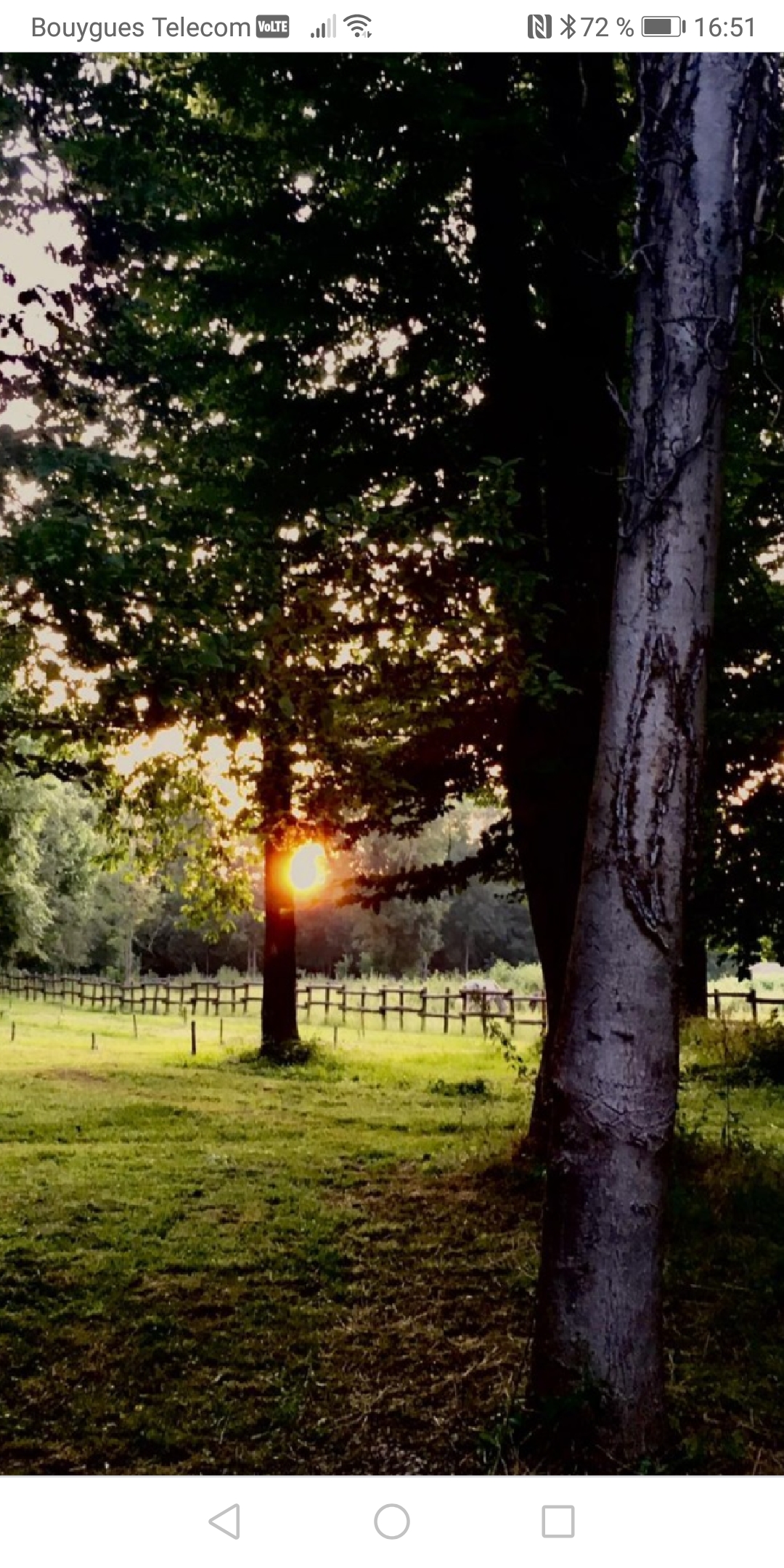 Photo n° 6 de l'avis de T-.t fait le 22/07/2021 à 19:06