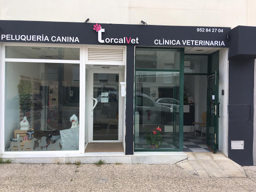 Torcalvet clínica veterinaria - C. Manuel de Aguilar, 80, 29200 Antequera, Málaga, España