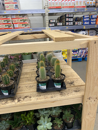 Department Store «Walmart Supercenter», reviews and photos, 100 Mall Dr, Steubenville, OH 43952, USA